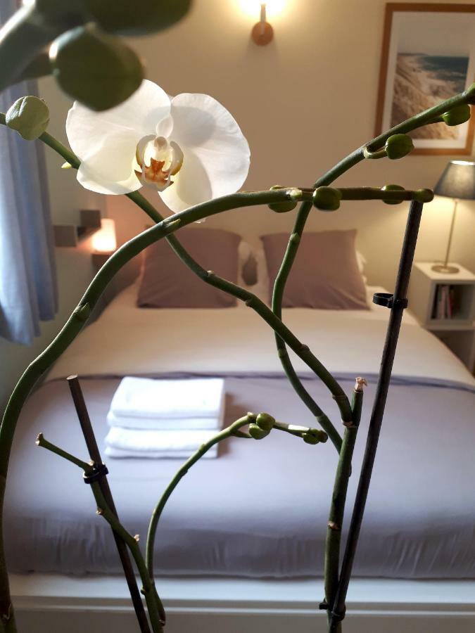 Le Coquet Apartment Сент Омер Екстериор снимка